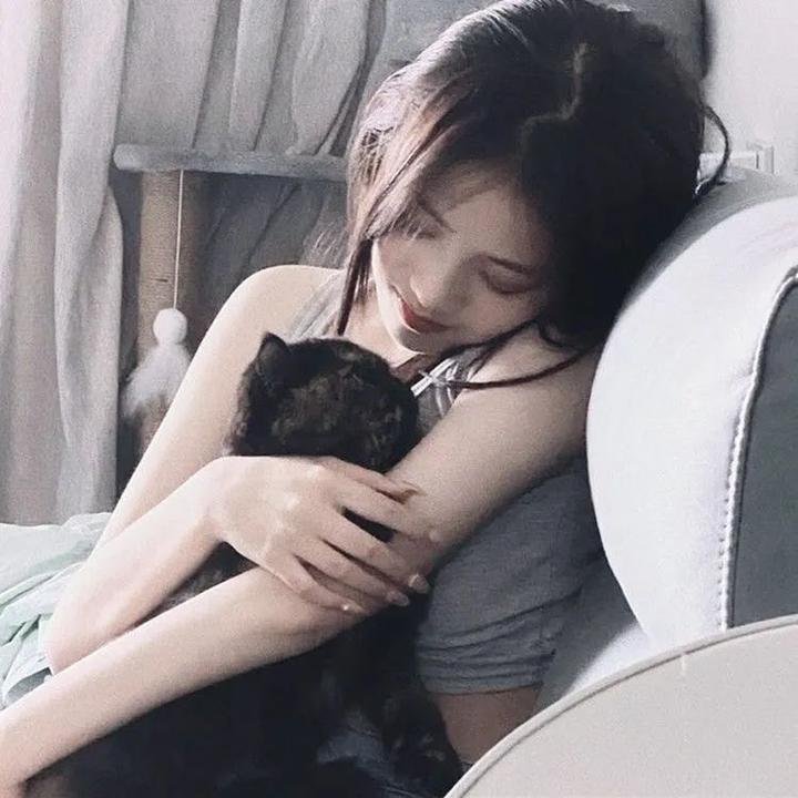 红尘 高清在线观看封面