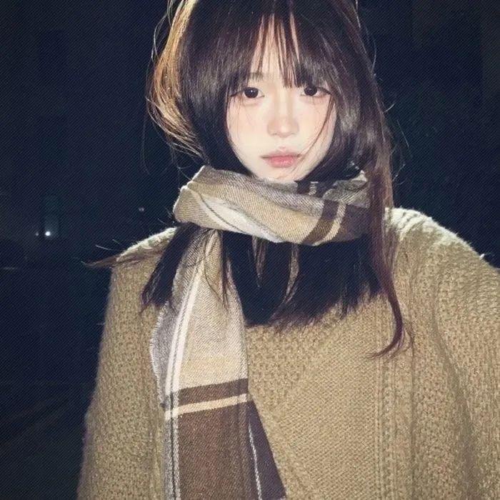 移民探戈 高清在线观看封面