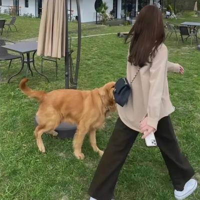 昆塔:反转星球 高清在线观看封面
